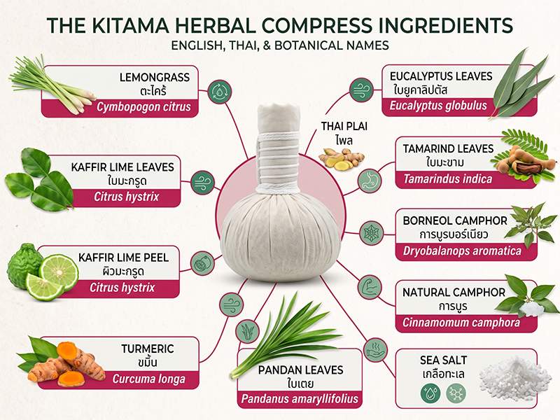 Ingredients of Kitama Thai herbal compress balls: lemongrass, kaffir lime, turmeric, plai, camphor and other Thai herbs