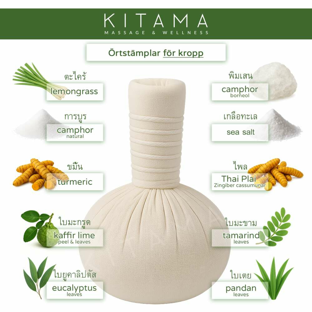 Thailändska örtstempel för kropp