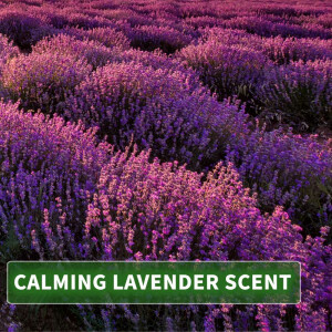 Thai Liquid soap lavender with rice extract