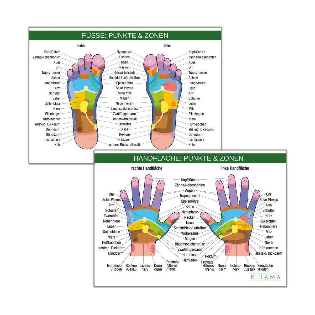 Póster DIN-A4 masaje de pies zonas de masaje de...