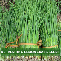 Massage Oil Aroma Lemongrass 1000ml