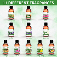 Massageöl Aroma 6er Set - Jasmin, Rose, Lavendel, Orange, Kokos & Zitronengras 5000ml